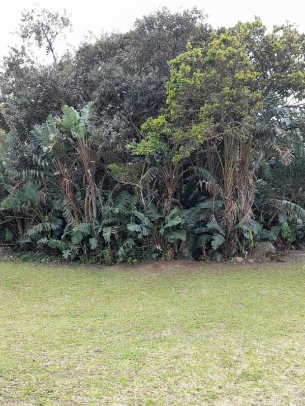 19 Montego Bay Caribbean Estate Διαμέρισμα Port Edward Εξωτερικό φωτογραφία