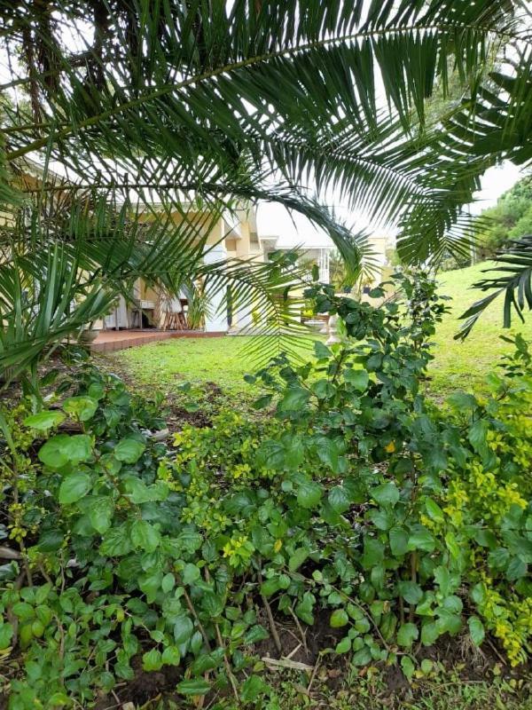19 Montego Bay Caribbean Estate Διαμέρισμα Port Edward Εξωτερικό φωτογραφία